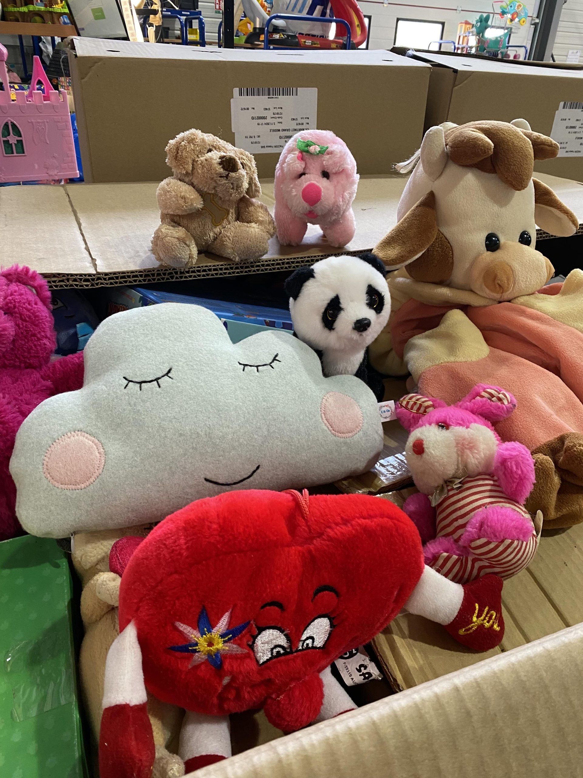 Grande collecte de jouets